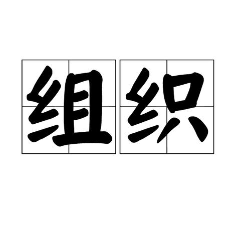 十个人的组织