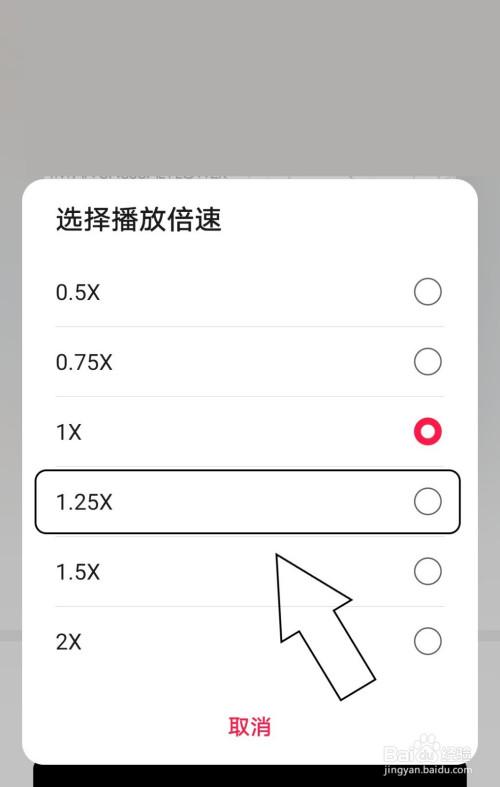 播放倍速几倍正常