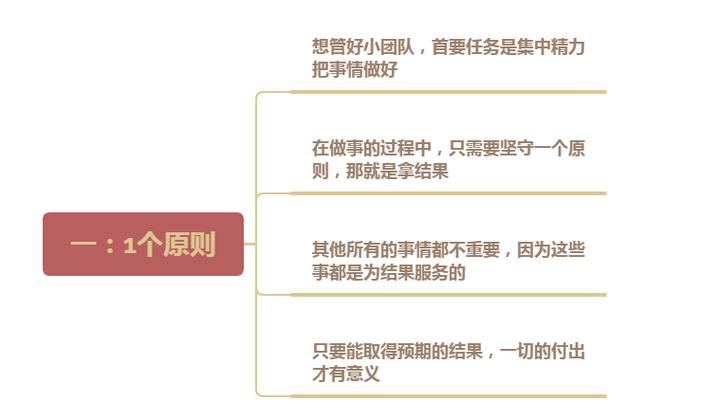 如何带好一个团队