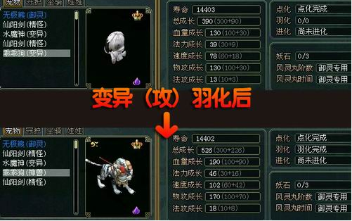 问道手游强10宠物跟变异