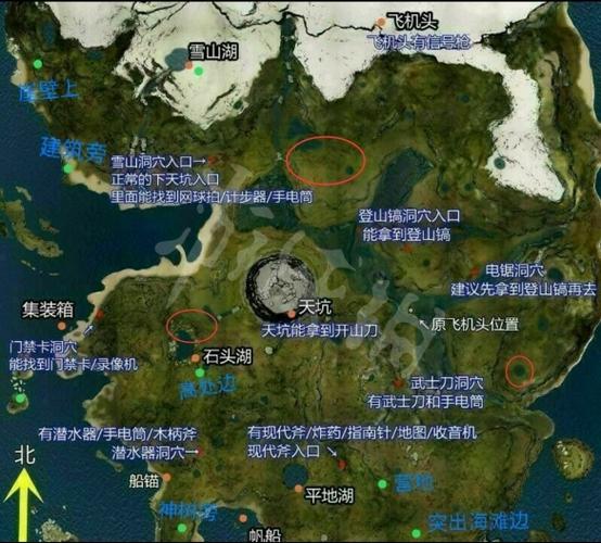森林游戏主线任务