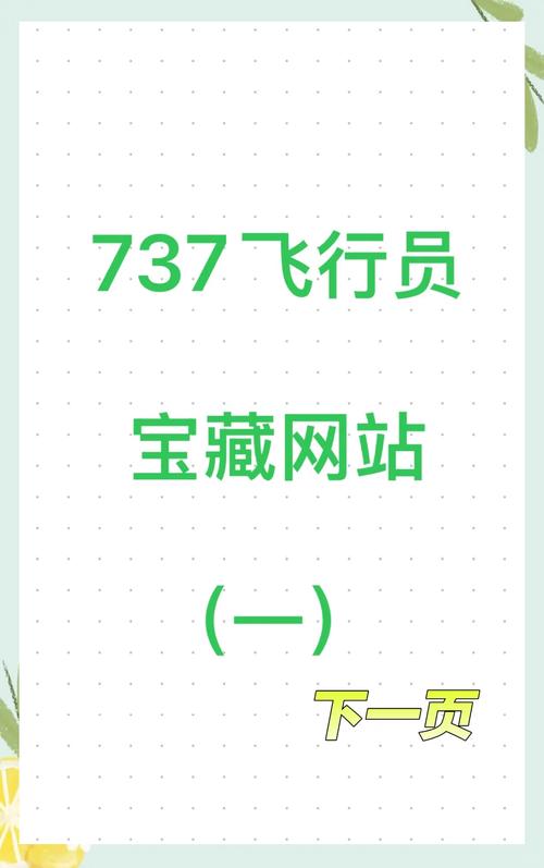 飞机网站