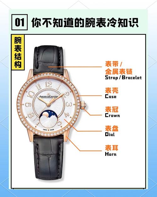 手表盘上的cn字母是什么意思啊怎么读截图2