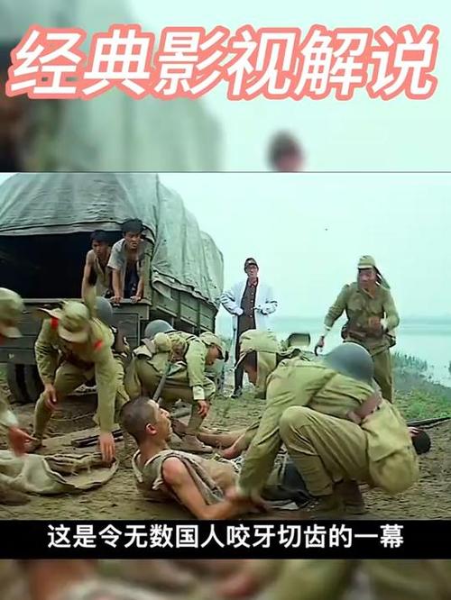 紫日真实事件原型