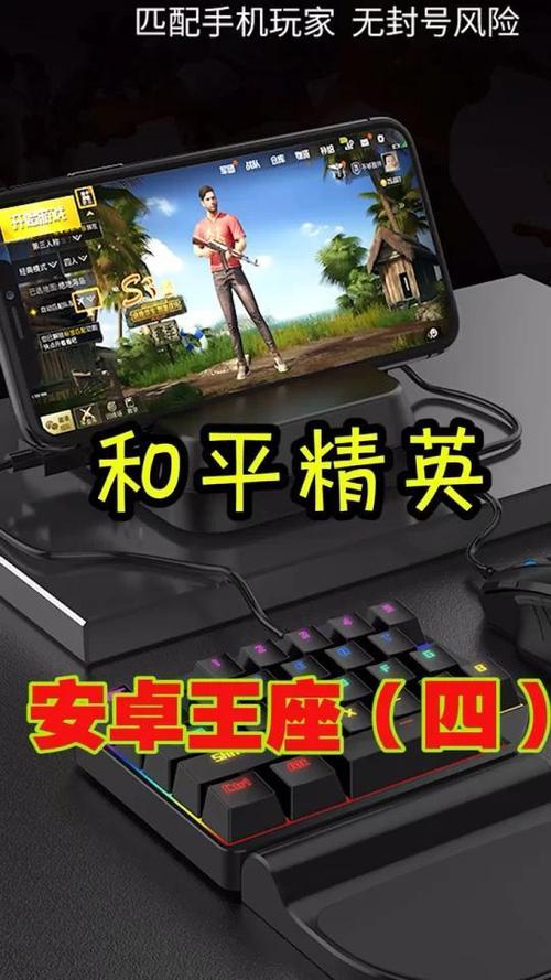 吃鸡王座怎么连接苹果截图3