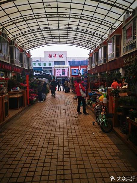 上海花鸟市场哪个好