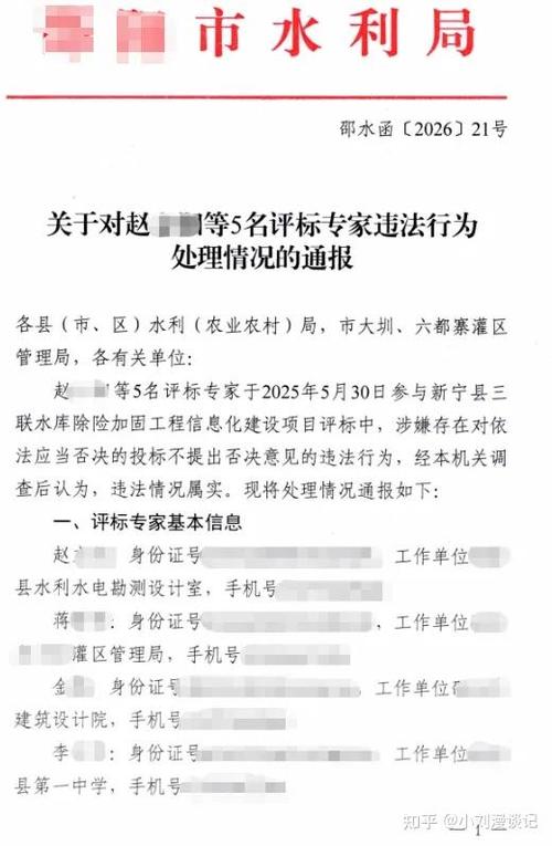 国网评标专家太难了