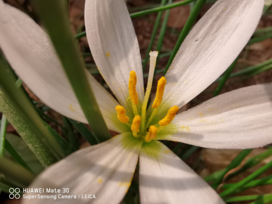 华为超级微距