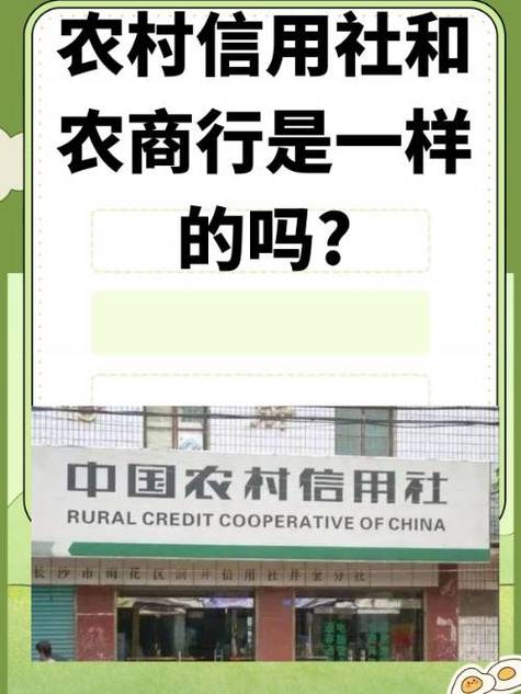 农村信用社每月限额怎么办