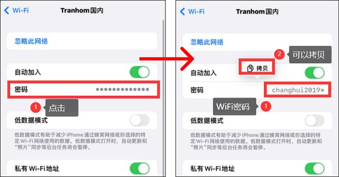 iphone下载密码怎么查看