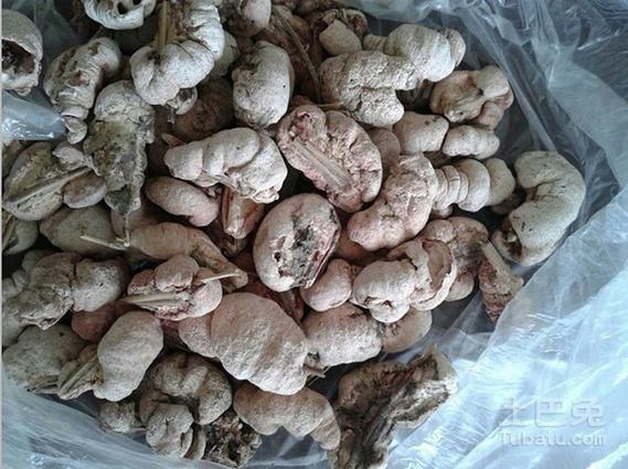 竹黄一斤泡多少酒