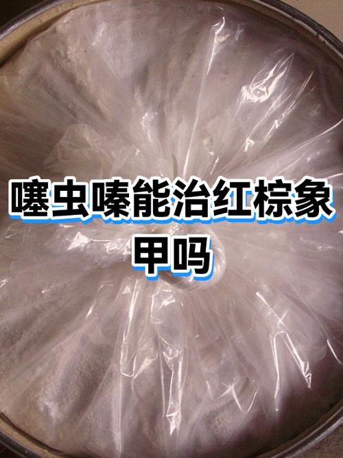 防治象甲虫的最佳药物
