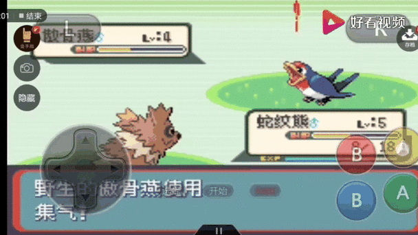口袋妖怪蛇纹木最强精灵