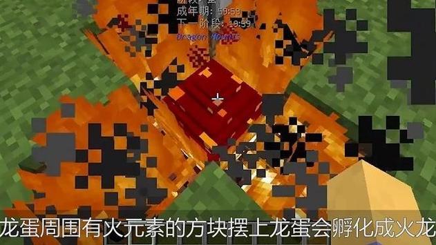 我的世界怎么孵化末影龙蛋视频截图2