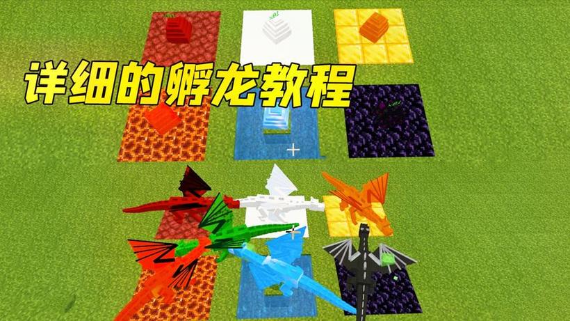 我的世界怎么孵化末影龙蛋视频截图3