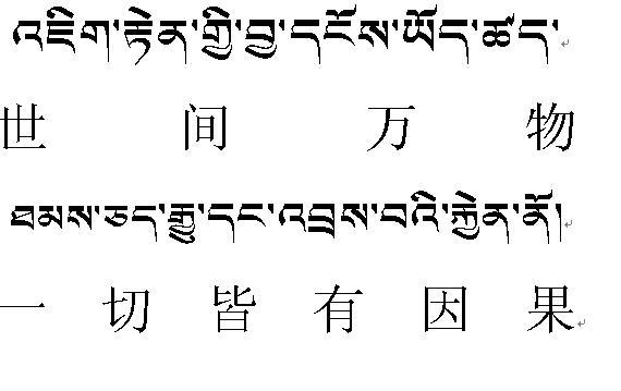 中文→藏文互译截图2