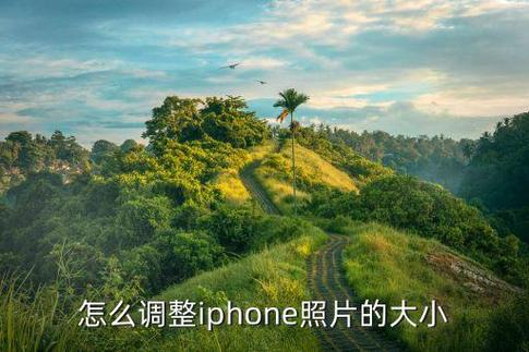 苹果手机拍照大小设置截图2