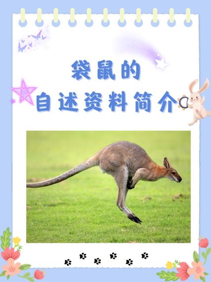 袋鼠简介