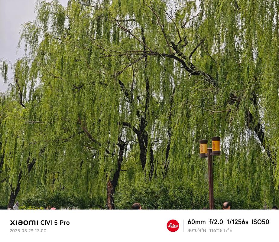 小米civi5微距对焦