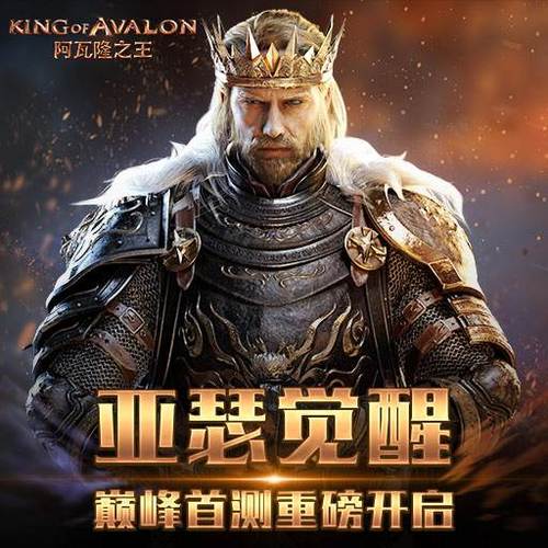 阿瓦隆之王KG版本截图2