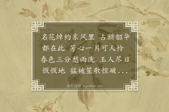 玉楼春临在线阅读