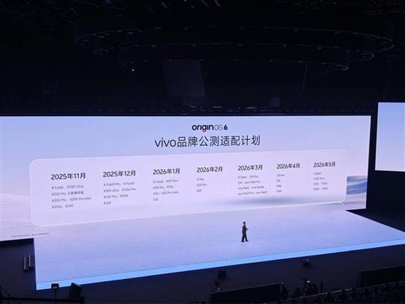 vivo公测版和正式版怎么区分