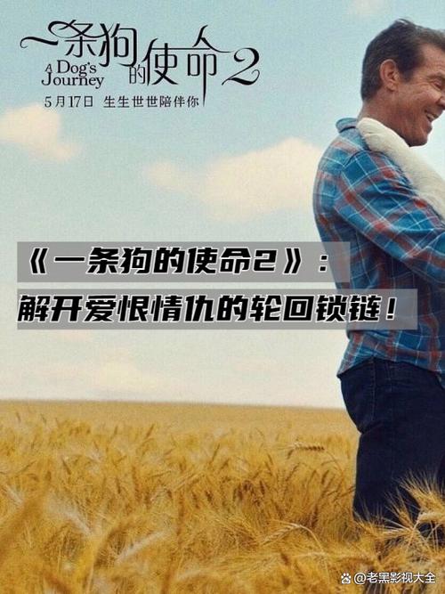 哇塞电影