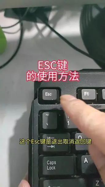 电脑ESC是什么意思