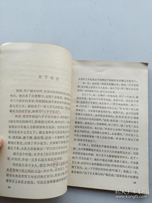 汉天子天籁小说