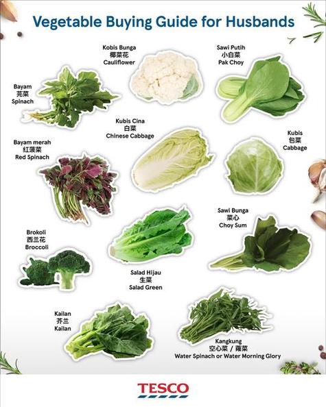 菜种类大全100种