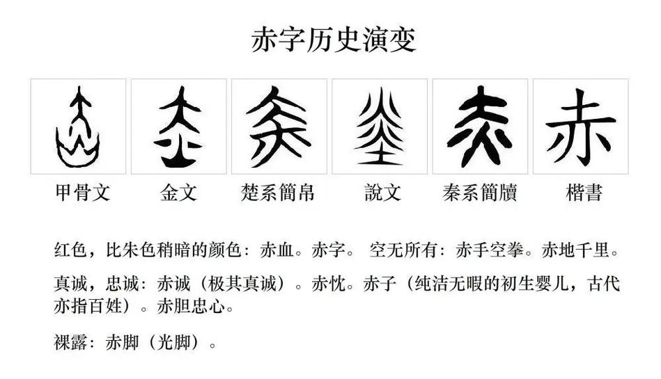 甲骨文解释