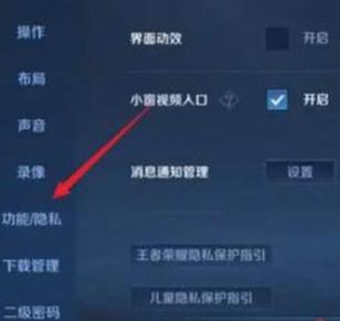 王者荣耀设置的隐身能被看到吗