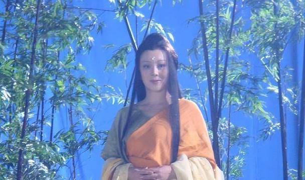 梁丽版封神榜琵琶精露截图2