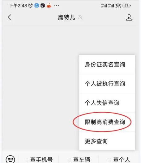 全国法院限高信息公开查询官网