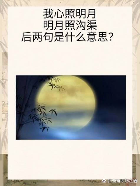 我心向明月全部小说妈妈