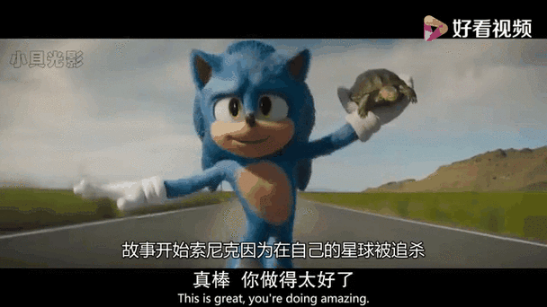 刺猬索尼克插曲