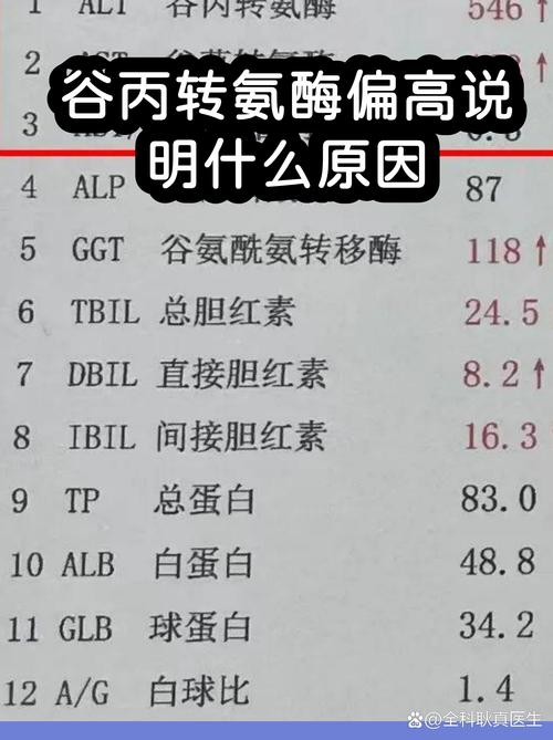 谷丙转氨酶高的原因