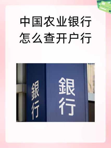 中国农业银行聚合码有d0的吗