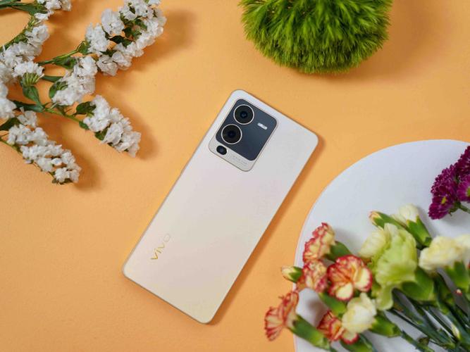 vivos15多少钱截图3
