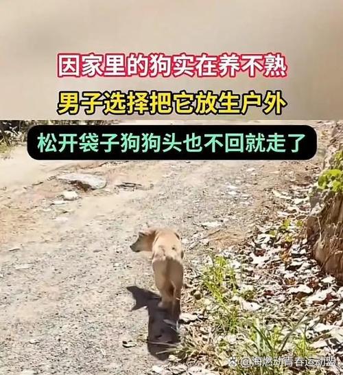 被别人叫那家伙啥意思