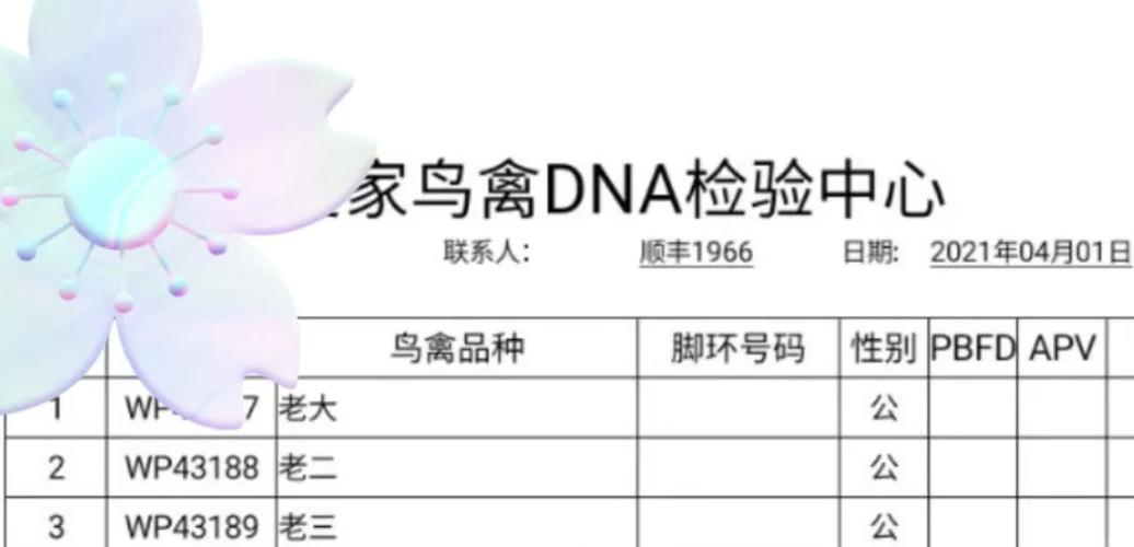 玄凤鹦鹉验卡需要哪些程序