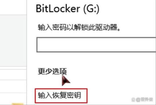 输入恢复密钥进行恢复
