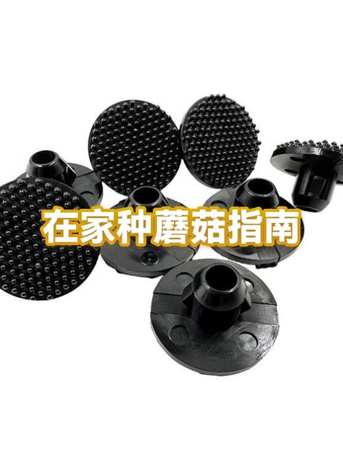 自己在家里种菇的方法