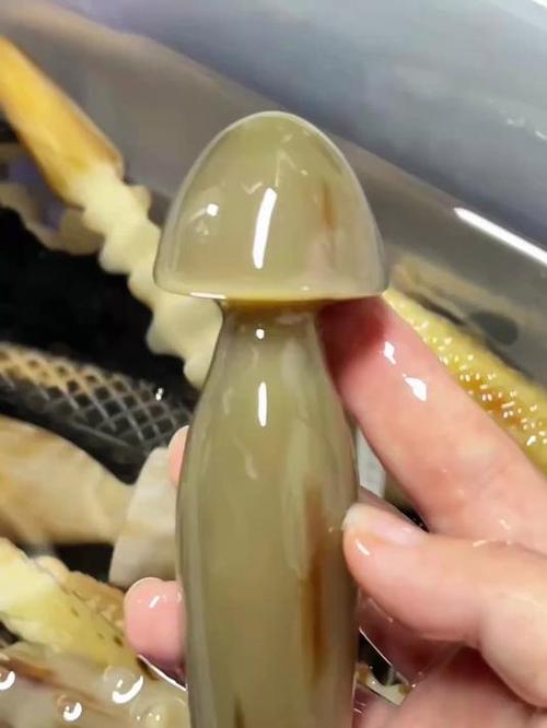 大蘑菇