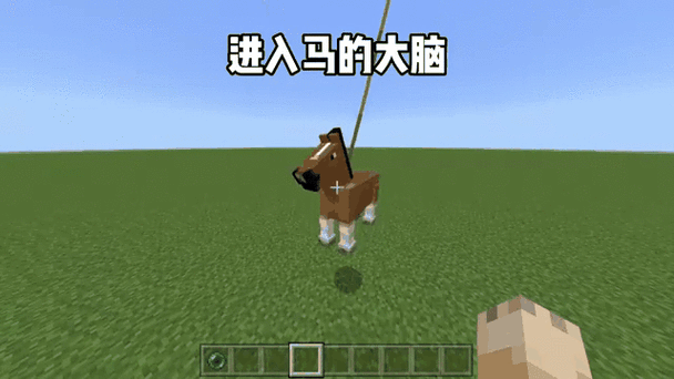 我的世界怎么让马听话