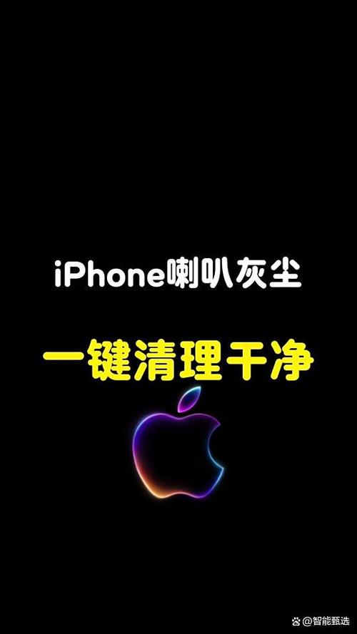苹果一键清灰在哪
