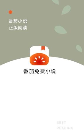 蕃茄小说哪个版本好赚钱