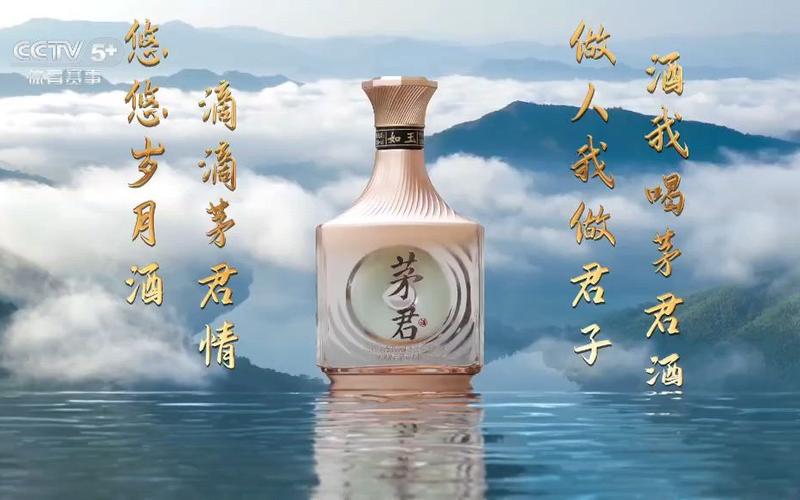最经典的白酒广告