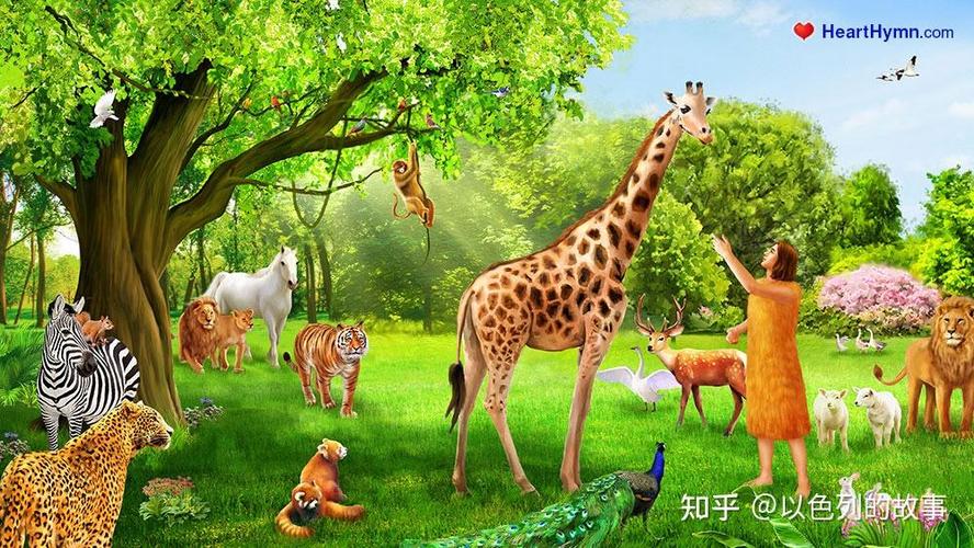 飞鸟代表男人还是女人截图3