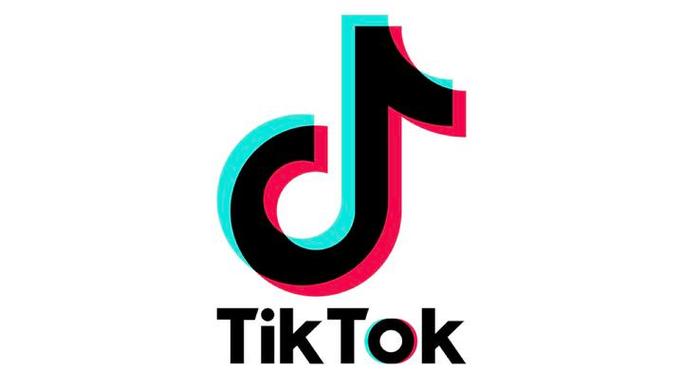 toktik安装包截图3